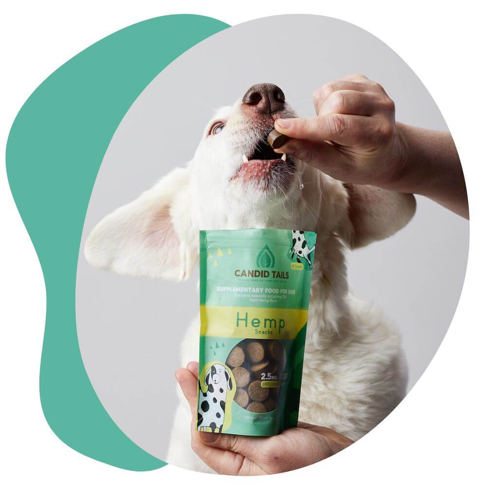 Pet Hemp products with natural CBD content for joint support