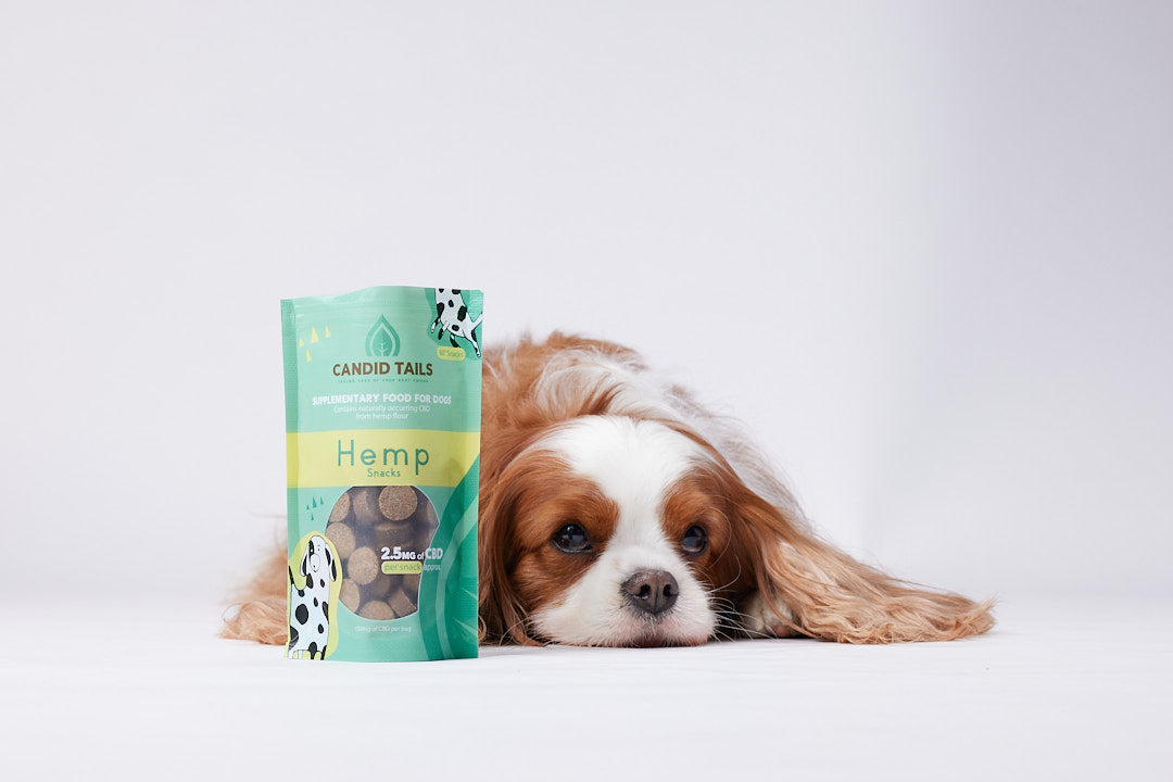 Hemp Treats For Dogs Naturally occuring CBD