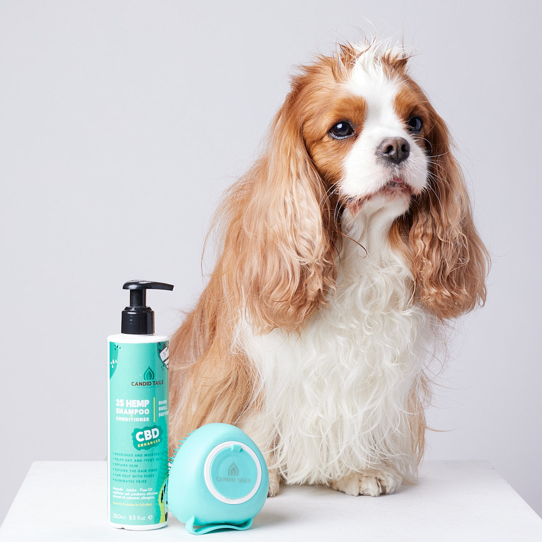 CBD Dog Shampoo for Shine Smell Softness