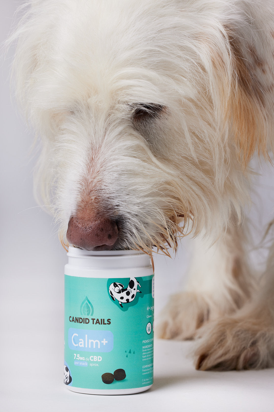 Cbd treats to calm dogs sale